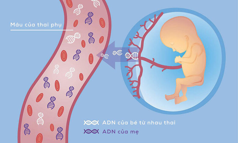 Xét nghiệm NIPT là gì và những ưu điểm khi thực hiện | Medlatec