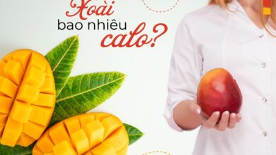 XOÀI BAO NHIÊU CALO? ĂN XOÀI CÓ NÓNG KHÔNG? - Poongsan