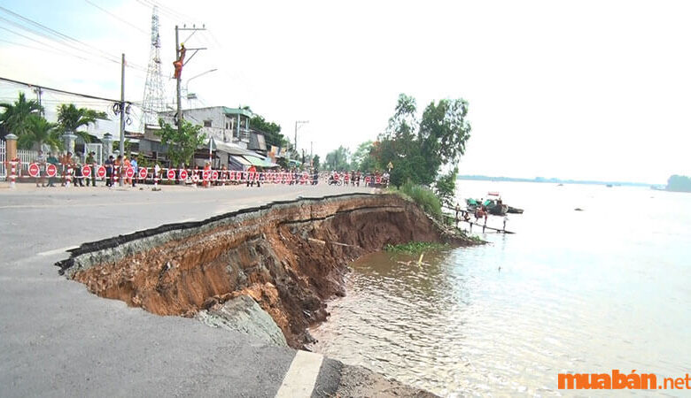 Xói Mòn đất Là Gì? 3 Nguyên Nhân, Giải Pháp Chống Xói Mòn