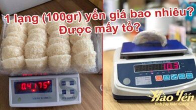 1 lạng yến bao nhiêu tiền? Được mấy tổ?