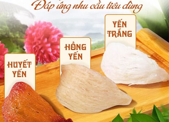 Báo Giá Yến Sào Khánh Hòa Cao Cấp [SALE TẬN GỐC]