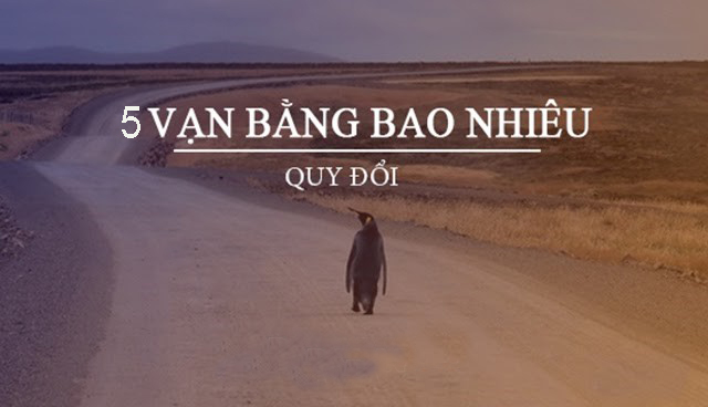 5 Vạn tiền Đài Loan bằng bao nhiêu tiền Việt Nam? -NamChauIMS