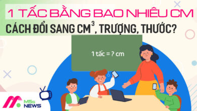 1 tấc bằng bao nhiêu cm? Bảng quy đổi tấc sang cm, m, inch