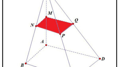 Thiết diện là gì? - Trường Trung Cấp Việt Hàn (VKI)