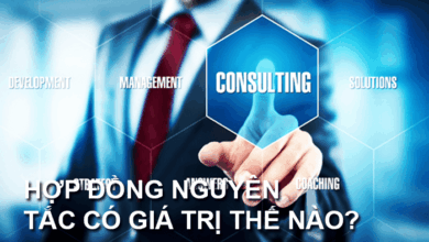 Hợp đồng nguyên tắc là gì? Mẫu hợp đồng nguyên tắc [Mới 2023]