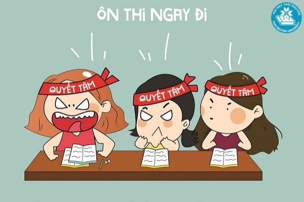 Con gái học khối D nên chọn ngành gì để dễ xin việc năm 2022?